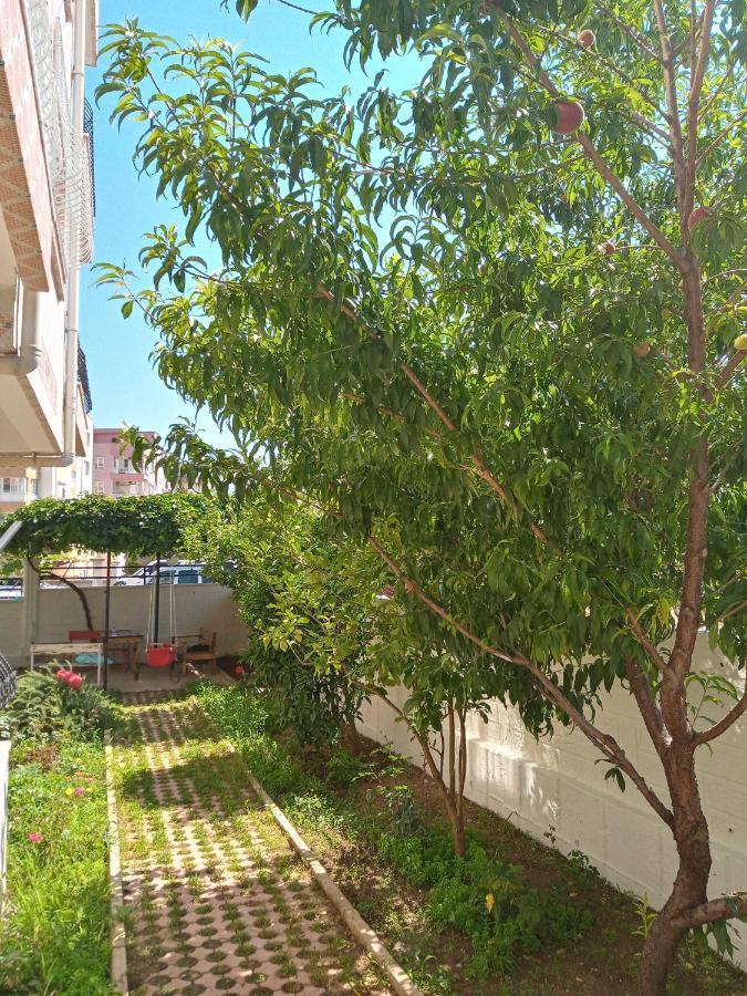 Bulut Apartment أنطاليا المظهر الخارجي الصورة